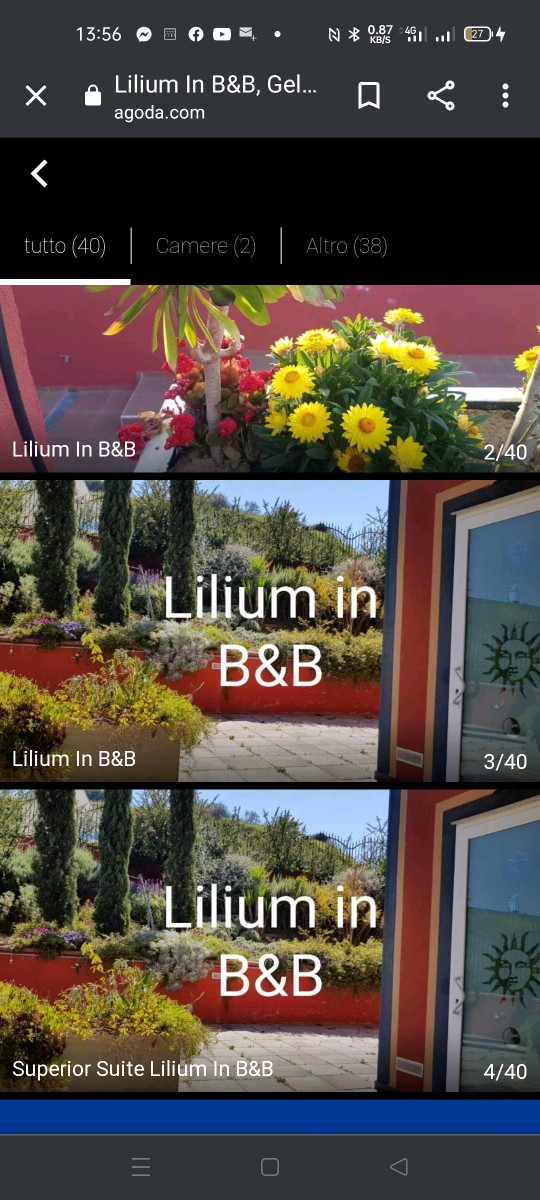 4915035  camera inBed & Breakfast lilium