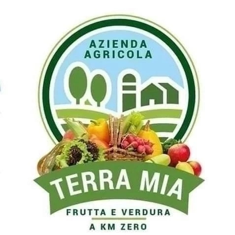 4858133  Frutta e Verdura  km0