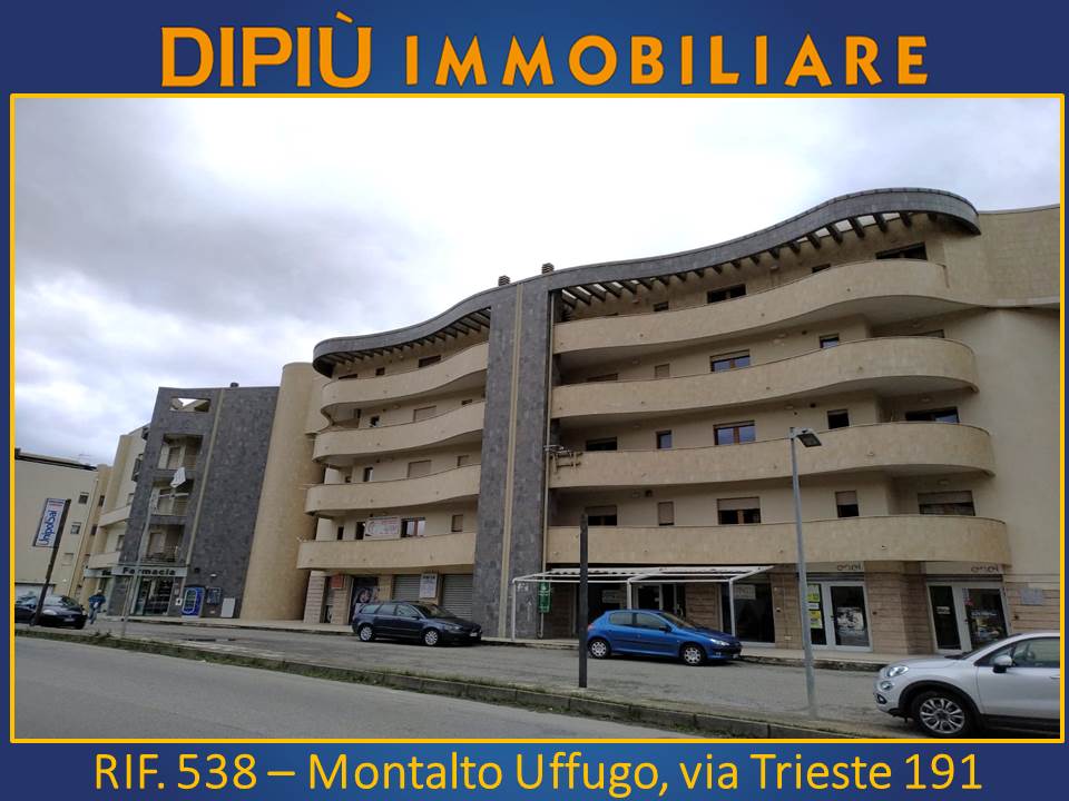 4840882  in affitto appartamento