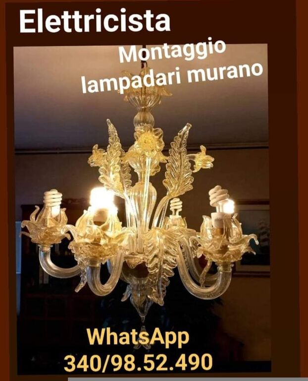 5329469  Montaggio lampadari Murano